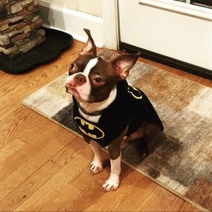 Meet your Posher, Quentin